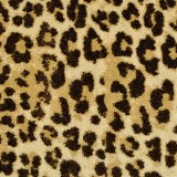 Masland CarpetsLeopard